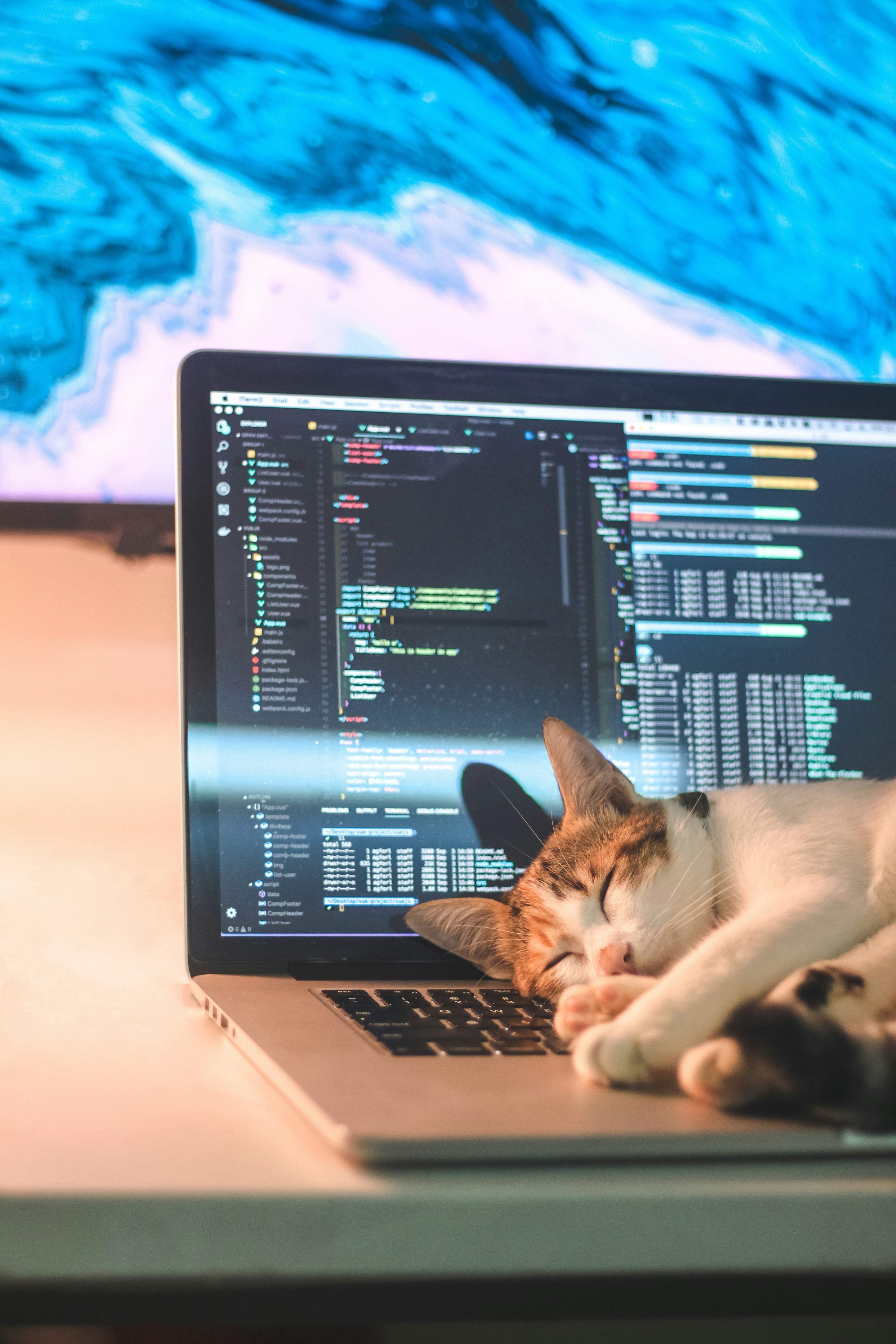 A cat resting on a computer keyboard, from the Midwest Animal Shelter website project